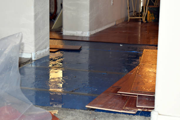 Professional Basement Flood Cleanup technician working in East Setauket, NY